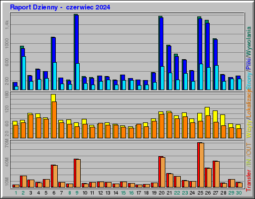 Raport Dzienny -  czerwiec 2024