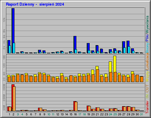 Raport Dzienny -  sierpień 2024