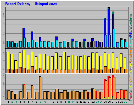 Raport Dzienny -  listopad 2024