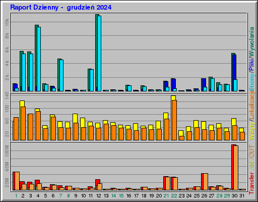 Raport Dzienny -  grudzień 2024