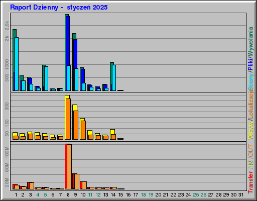 Raport Dzienny -  styczeń 2025