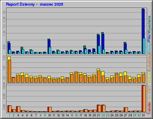 Raport Dzienny -  marzec 2025