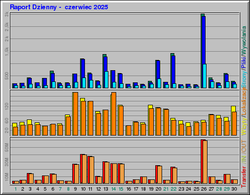 Raport Dzienny - czerwiec 2025 Raport Dzienny - czerwiec 2025