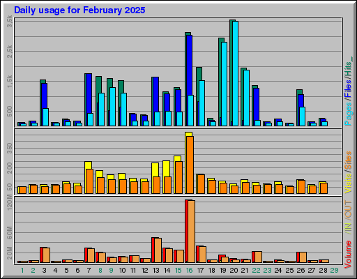 Raport Dzienny -  luty 2025