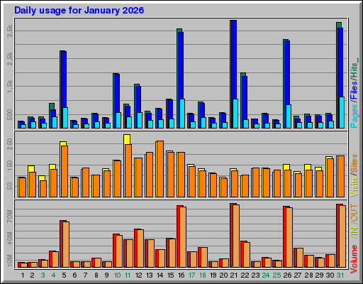 Raport Dzienny - styczeń 2026 Raport Dzienny - styczeń 2026