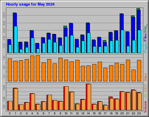 Raport Godzinowy -  Maj 2024