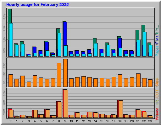 Raport Godzinowy -  luty 2025