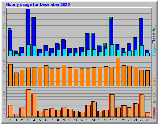 Raport Godzinowy -  grudzień 2025