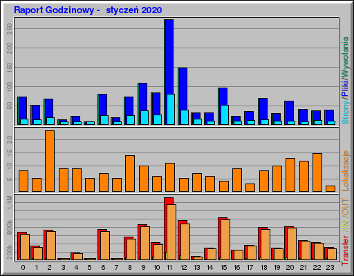 Raport Godzinowy -  styczeń 2020