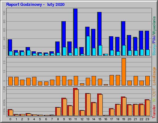 Raport Godzinowy -  luty 2020