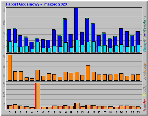 Raport Godzinowy -  marzec 2020