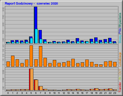 Raport Godzinowy -  czerwiec 2020