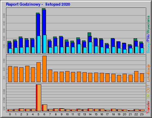 Raport Godzinowy -  listopad 2020