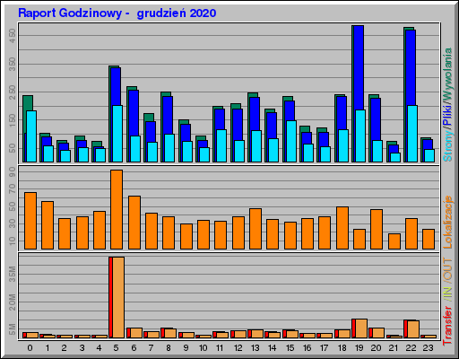 Raport Godzinowy -  grudzień 2020