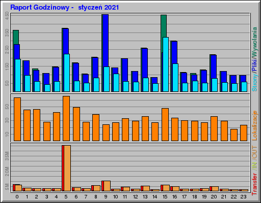 Raport Godzinowy -  styczeń 2021