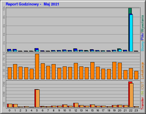 Raport Godzinowy -  Maj 2021