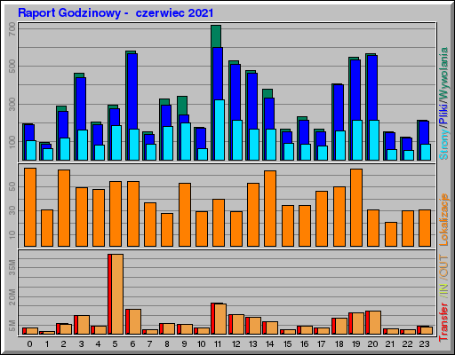 Raport Godzinowy -  czerwiec 2021