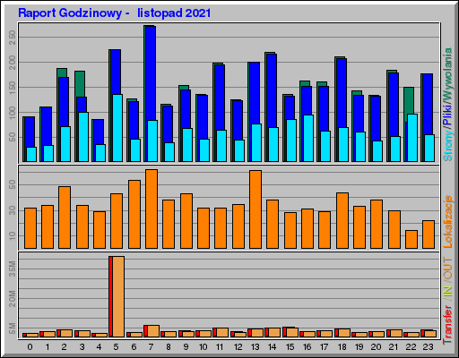 Raport Godzinowy -  listopad 2021