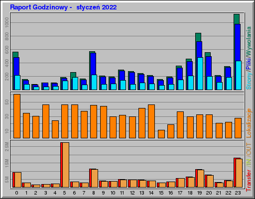 Raport Godzinowy -  styczeń 2022