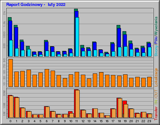 Raport Godzinowy -  luty 2022