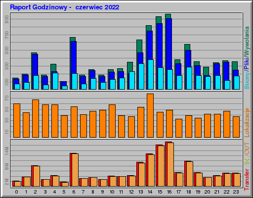 Raport Godzinowy -  czerwiec 2022