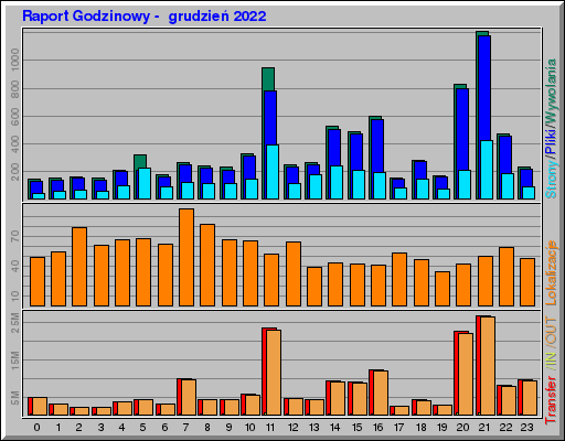 Raport Godzinowy -  grudzień 2022