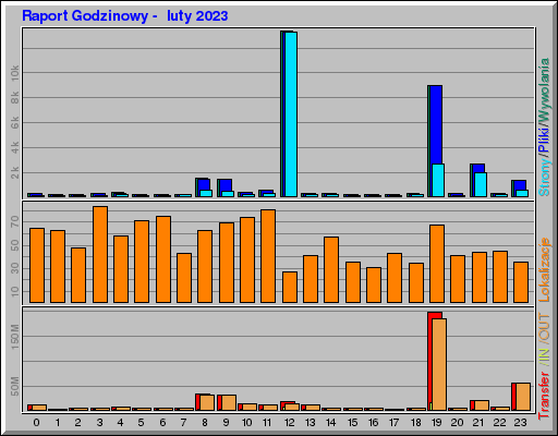 Raport Godzinowy -  luty 2023