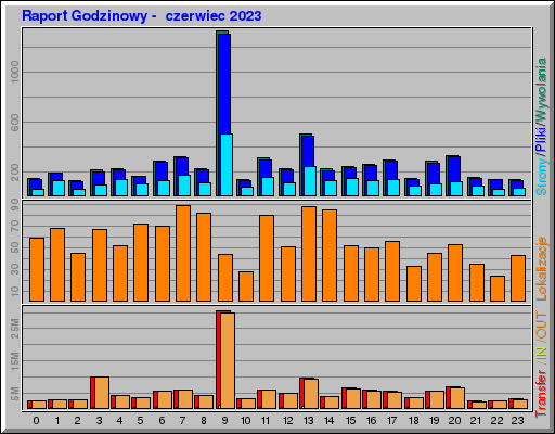 Raport Godzinowy -  czerwiec 2023