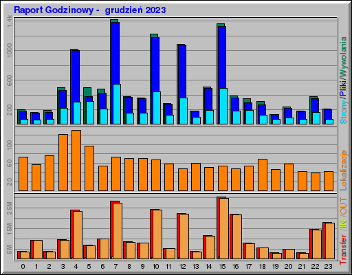 Raport Godzinowy -  grudzień 2023