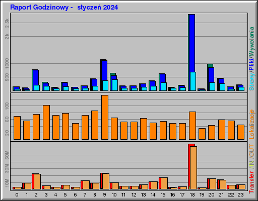 Raport Godzinowy -  styczeń 2024