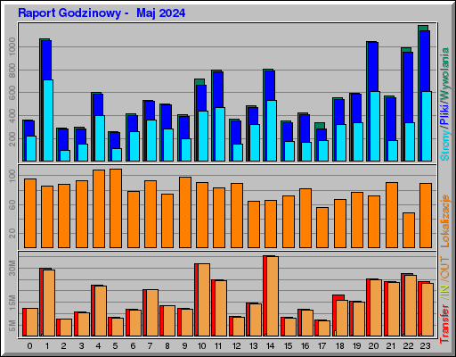 Raport Godzinowy -  Maj 2024