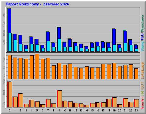 Raport Godzinowy -  czerwiec 2024