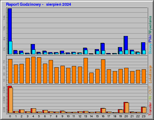 Raport Godzinowy -  sierpień 2024