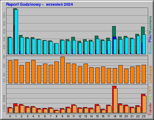 Raport Godzinowy -  wrzesień 2024