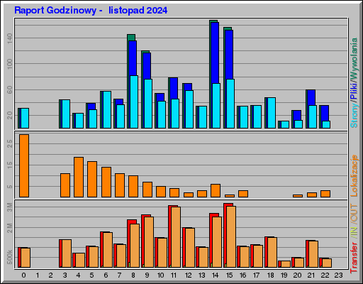 Raport Godzinowy -  listopad 2024