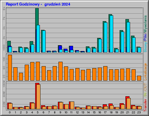 Raport Godzinowy -  grudzień 2024