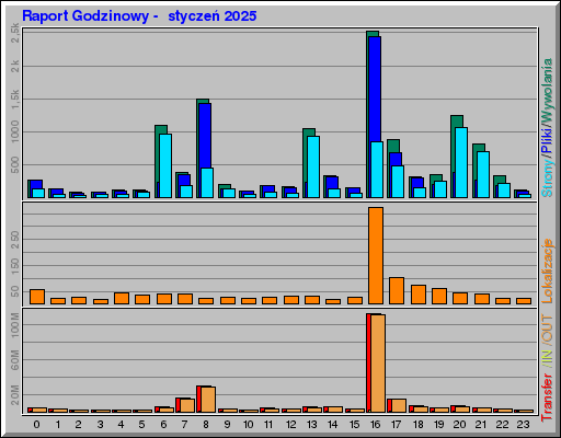 Raport Godzinowy -  styczeń 2025