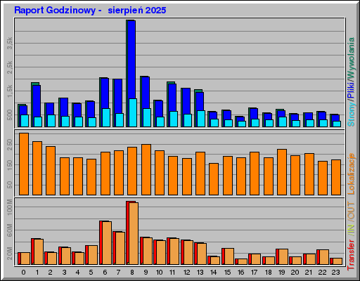 Raport Godzinowy -  sierpień 2025