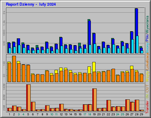 Raport Dzienny - luty 2024 Raport Dzienny - luty 2024