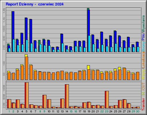 Raport Dzienny -  czerwiec 2024