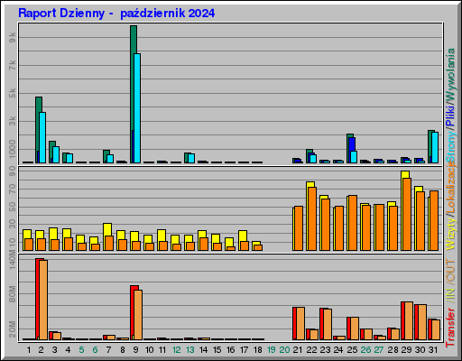 Raport Dzienny -  październik 2024