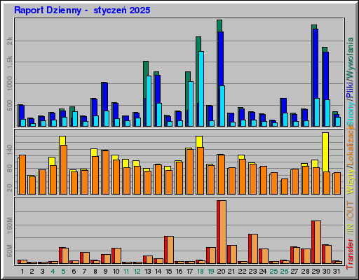 Raport Dzienny - styczeĹ 2025 Raport Dzienny - styczeĹ 2025