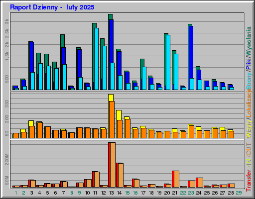 Raport Dzienny - luty 2025 Raport Dzienny - luty 2025
