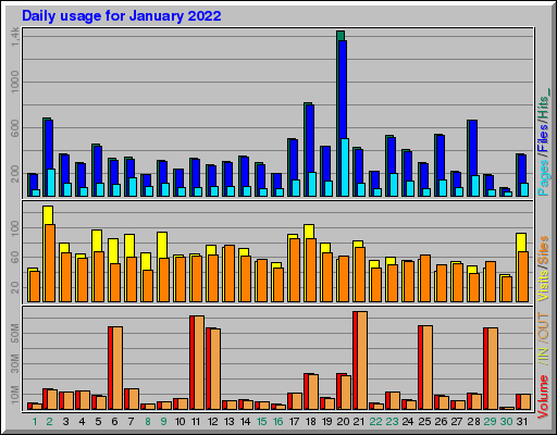 Raport Dzienny -  styczeń 2022