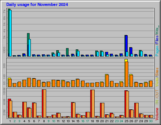 Raport Dzienny -  listopad 2024