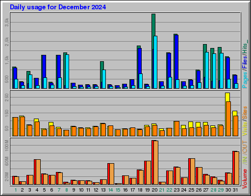 Raport Dzienny -  grudzień 2024