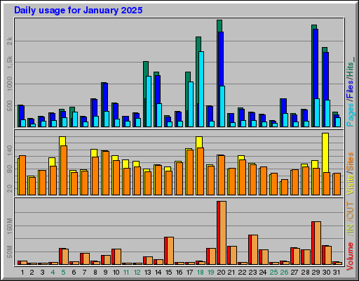 Raport Dzienny - styczeń 2025 Raport Dzienny - styczeń 2025
