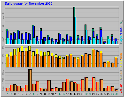 Raport Dzienny -  listopad 2025