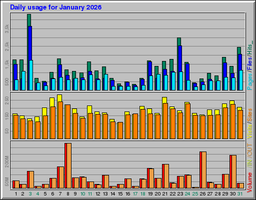 Raport Dzienny -  styczeń 2026