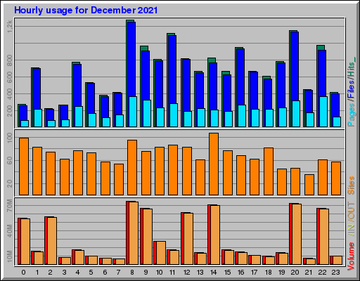 Raport Godzinowy - grudzień 2021 Raport Godzinowy - grudzień 2021